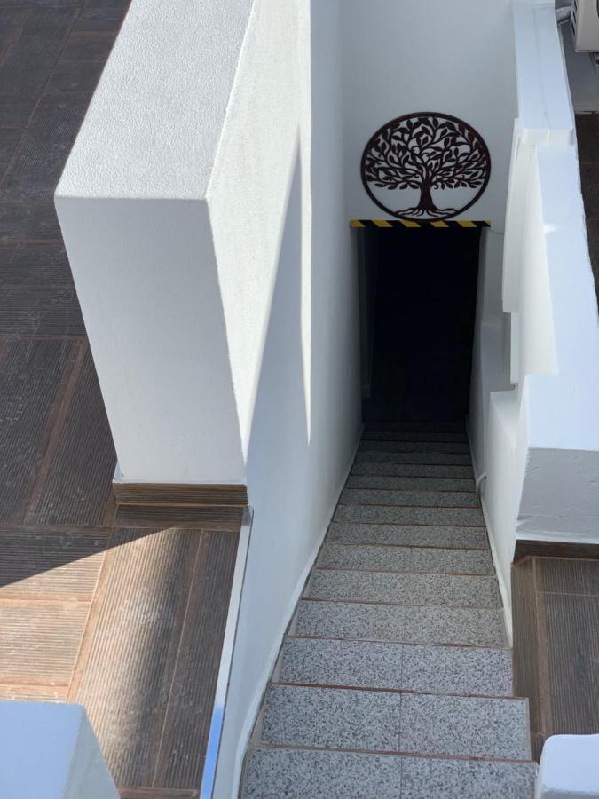Vila Casa Oliveira Olhão Exteriér fotografie